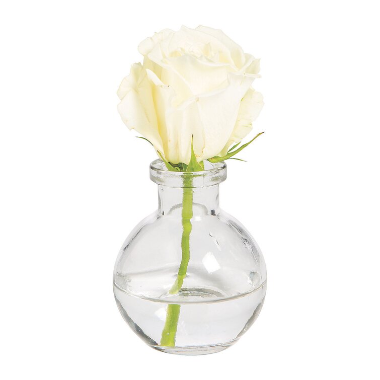Latitude Run® Glass Table Vase | Wayfair