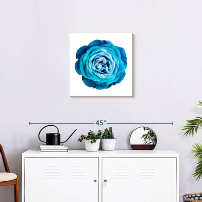Harnek Gradient Blue Rose