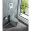 Toilette une pièce à double chasse 1,1 / 1,60 GPF
