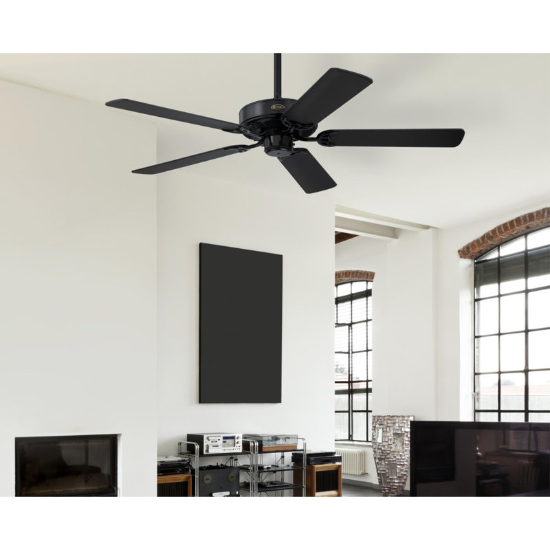 Doyle 52'' Ceiling Fan, Black