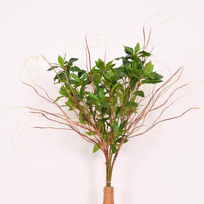 Feuilles de feuillage vert Eliana