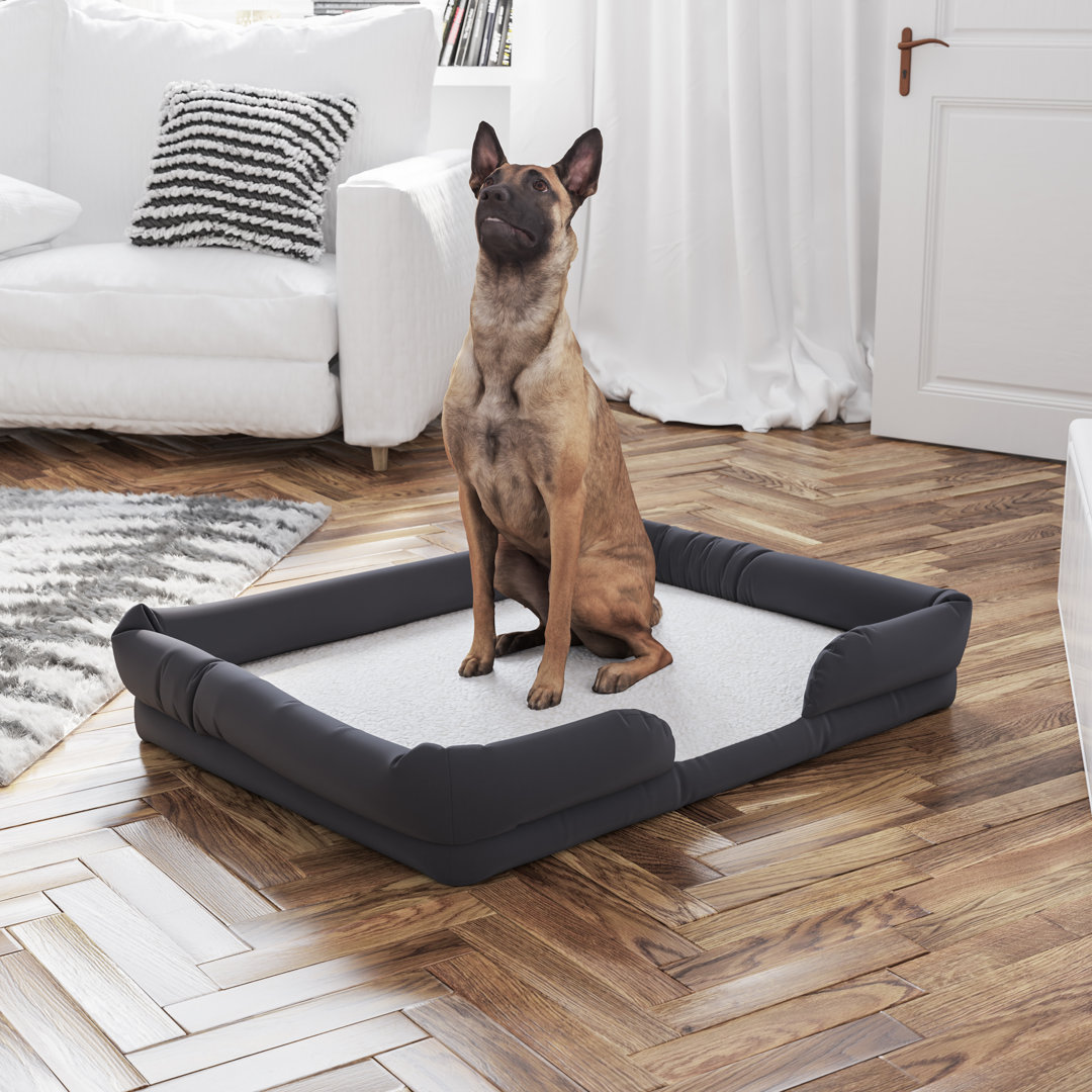 Abe Orthopedic Memory Foam Dog Bed - Removable, Washable Cover Archie & Oscar™ 
