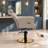 Salon Chair For Hair Stylist,Barber Chair For Home Barbershop With Professional Hydraulic Pump -Gray/Gold-129176280-108808824