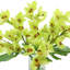 Orchids And Leaves In A Glass Vase