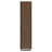 Rodger Walnut 3-Shelf Cabinet Bookcase