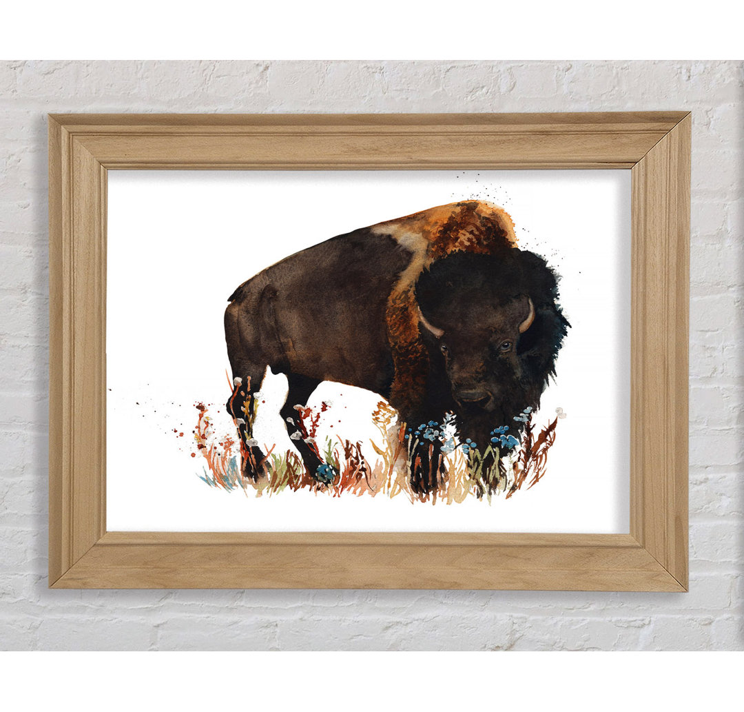 Bison Liebe - Druck