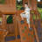 Backyard Discovery Shenandoah Cedar Wood Swing Set with Wave Slide, Clubhouse, Playhouse, and Play Kitchen