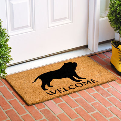 Non-Slip Indoor Doormat