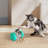 Hybrid Feeder/Toy