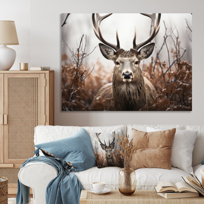 " Deer Monochrome Photography II "