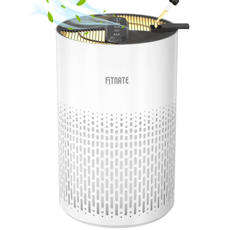 Purificateur d'air Fitnate avec filtre HEPA, Blanc