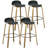 Bastiana Counter Stool with Iron Frame-771653968