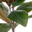 Polyethylene (PE) Magnolia Arrangement