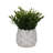 Stoneware Ceramic Planter with Sculpted Textured Form and Rounded Silhouette for Decorative Display and Botanical Arrangement in Indoor or Covered Outdoor Settings-126410033