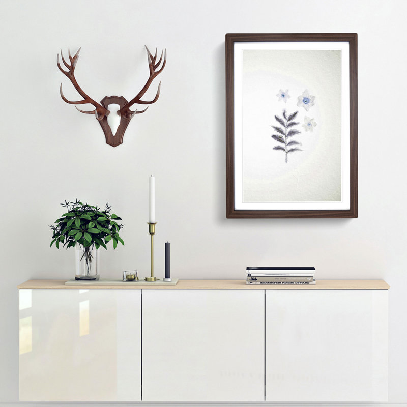 White Daffodil Dismantled - Framed Print, 65cm H x 48cm W x 2cm D, Walnut Framed