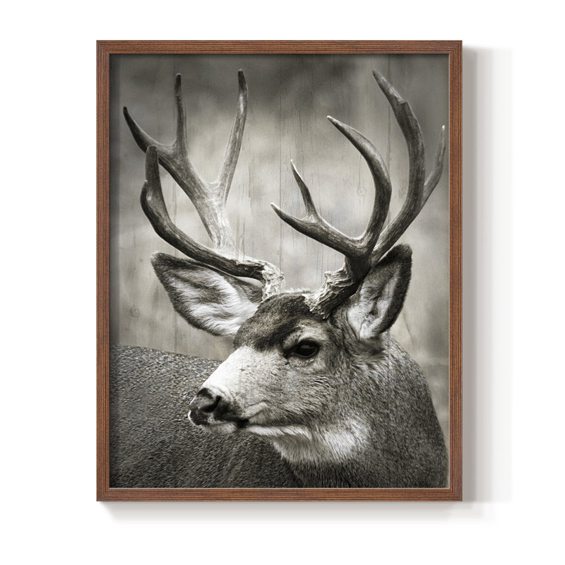 «Focused Buck», reproduction encadrée - bois massif, H 21 po x l 17 po, Noyer