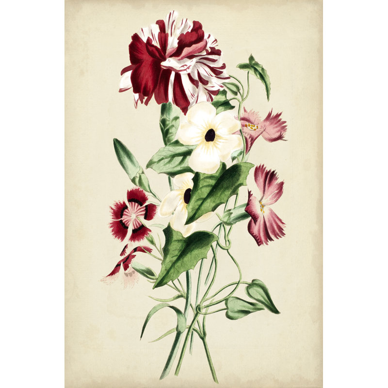 Natures Romance VI by Vision Studio - Wrapped Canvas Print, 46cm H x 30cm W