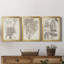 Sepia Exotic Plants IV - 3 Piece Single Picture Frame Painting on Canvas-11060930-11060942