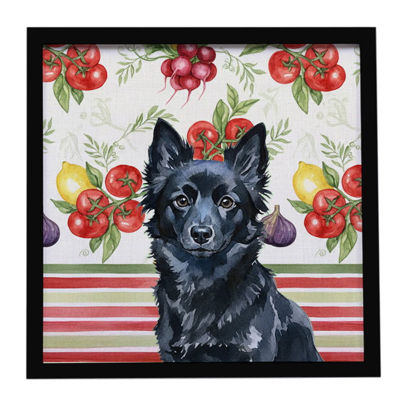 Schipperke Vegetables Framed Metal Print