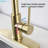 BATHLET Sevag Pull Down Kitchen Faucet-56469531