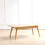 Centre de table Table basse 100% plateau en bois massif avec plateau et plateau de table basse Largeur 120 x profondeur 56 x hauteur 45 cm Bureau d'étude Facile à assembler Bois naturel avec tablette de rangement-1152083614