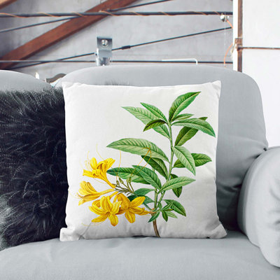 Square Cushion
