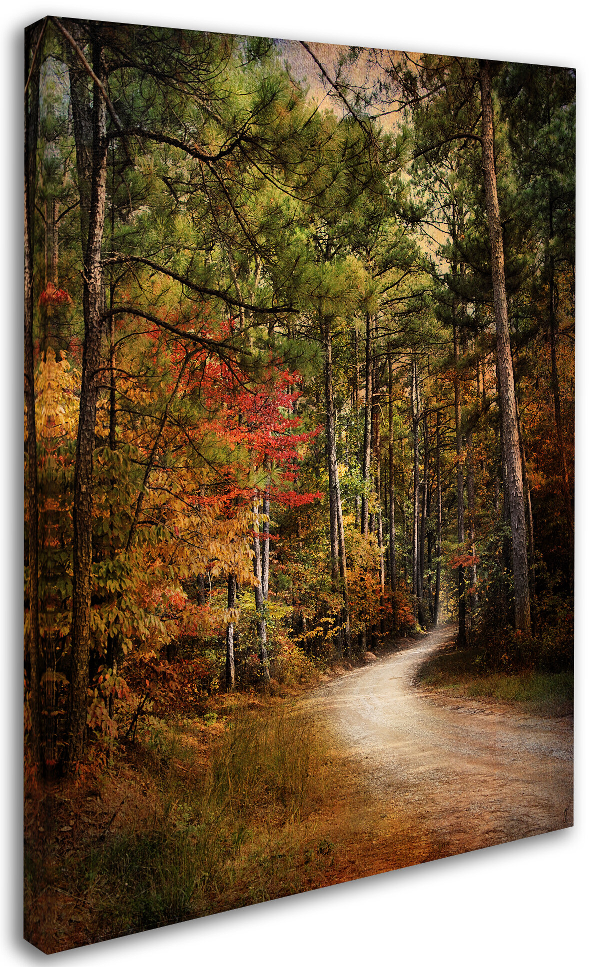 https://assets.wfcdn.com/im/58073865/compr-r85/4069/40693908/jai-johnson-autumn-forest-2-on-canvas-by-jai-johnson-print.jpg