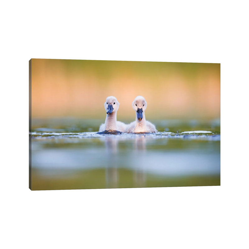 Brothers by Mateusz Piesiak - Wrapped Canvas Print, 45.72cm H x 66.04cm W x 1.905cm D