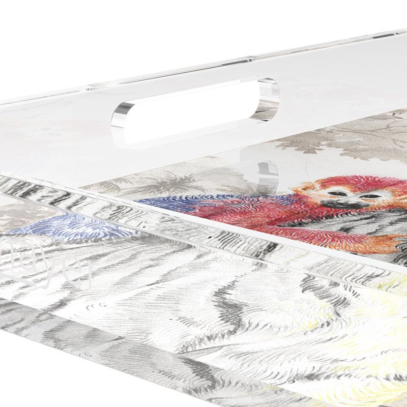 Plateau décoratif carré en acrylique Arcadia Tiger, L 12 po x P 12 po x H 2 po