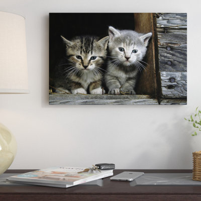 " Kittens " by Unknown Artist