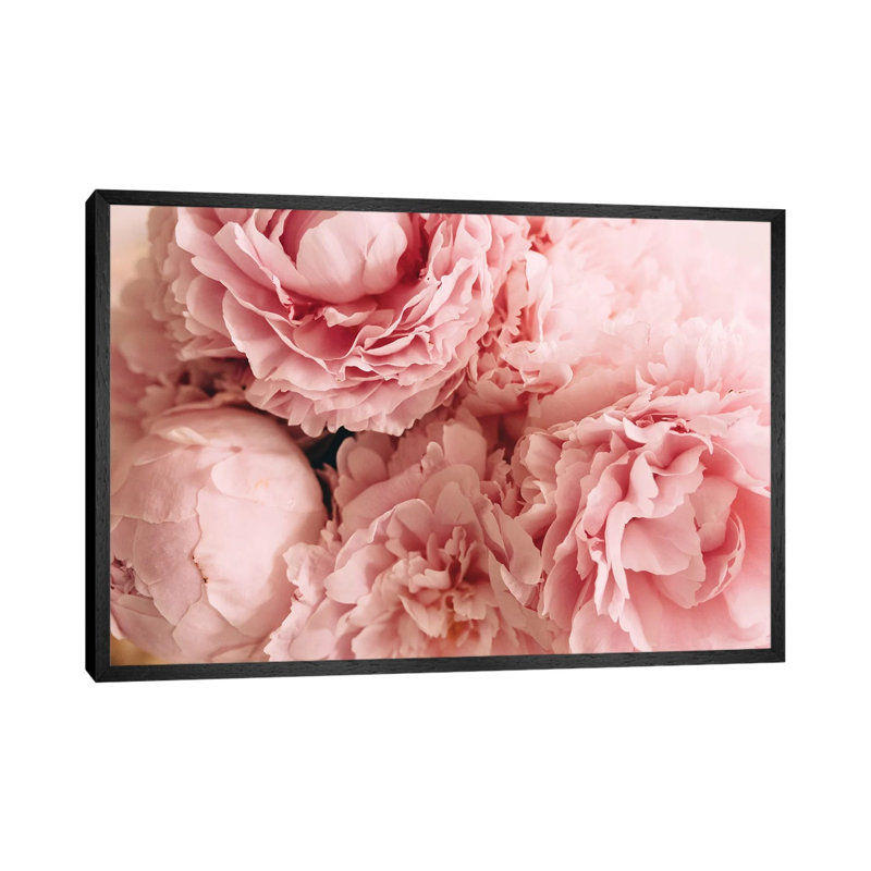 Blush Peonies by Chelsea Victoria - Floater Frame Print on Canvas, Black, 101.6 cm H x 66.04 cm W