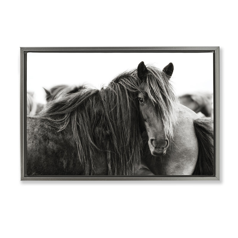 «Gazing Horse parmi le troupeau», art mural encadré par PHBurchett, H 17 po x l 25 po, Gris
