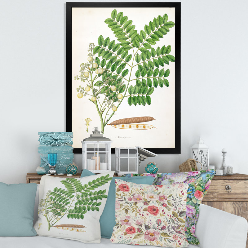 Vintage Botanicals VII - peinture sur toile, H 40 po x l 30 po x 1,5 po, Cadre photo noir