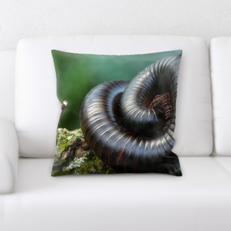 Coussin centipedes géant