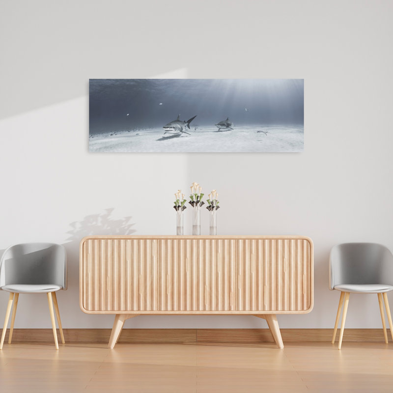 Sharks In Clear Water by Ken Kiefer - Wrapped Canvas Panoramic Print, 121.92 cm H x 40.64 cm W