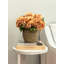 Arrangement floral d'automne hortensia-1147535357