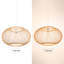 Jacksonwald 1 - Light Sphere Globe Pendant-825118454