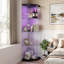Glass 60 cm W Display Cabinet