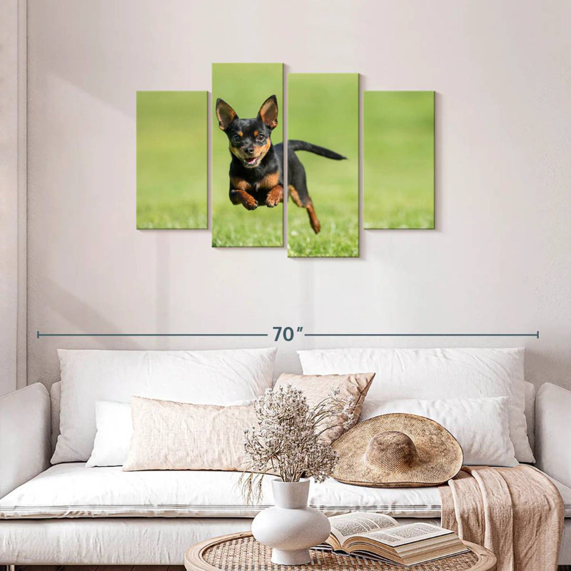 Chihuahua Sprint Brampt, H 27 po x l 43 po