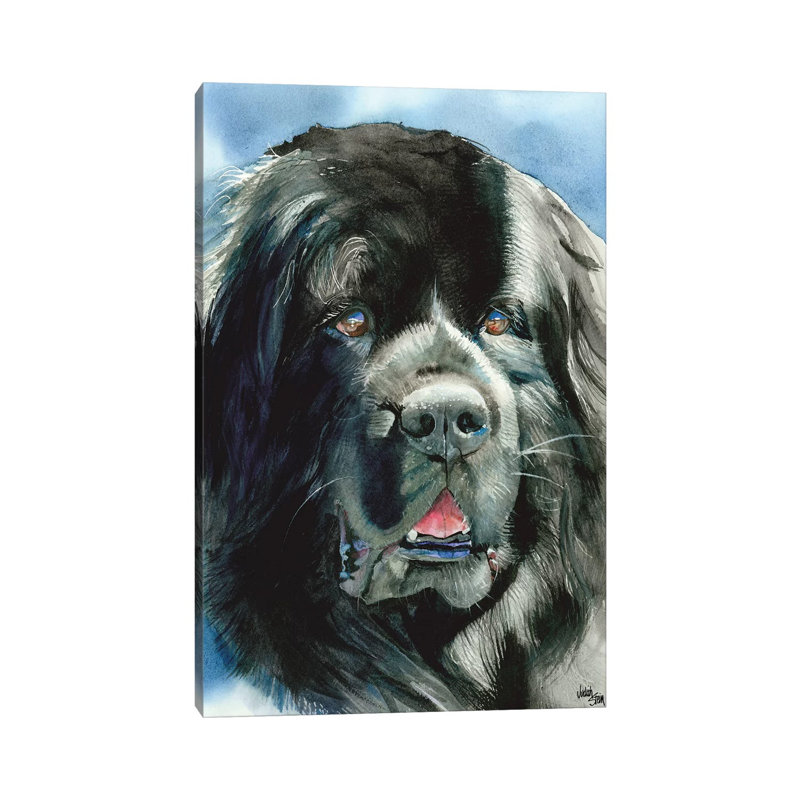 Quoi de neuf - Terre-Neuve par Judith Stein - reproduction d'art sur toile tendue, H 26 po x l 18 po x 1,5 po