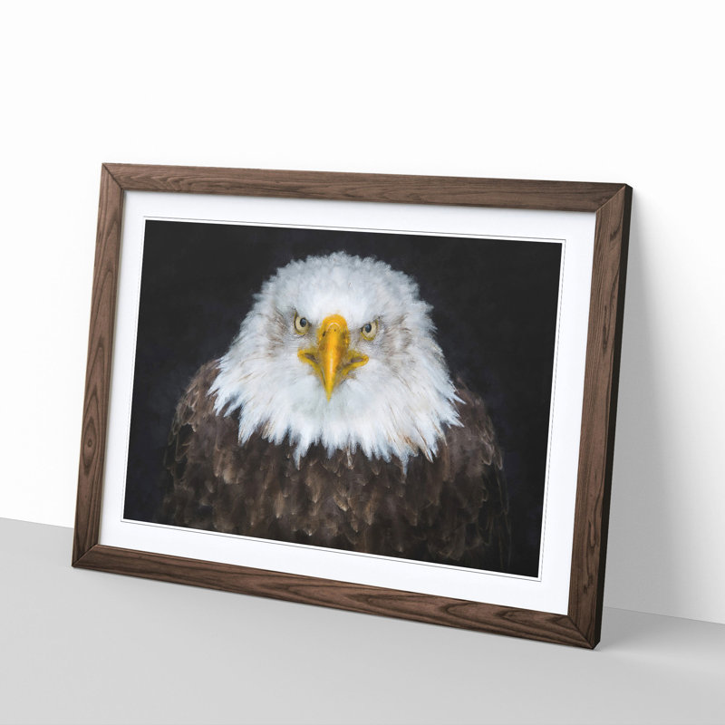 Bald Eagle Bird - Picture Frame Painting Print, Walnut, 62cm H x 87cm W x 2cm D