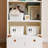 Cartoon style simple bookcase-110942817
