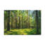 No Frame Print on Canvas-1752974638
