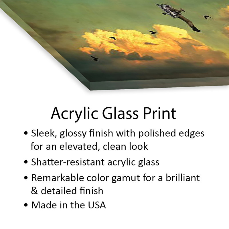 Icare, impression sur verre acrylique, H 24 po x l 16 po x P 0,25 po