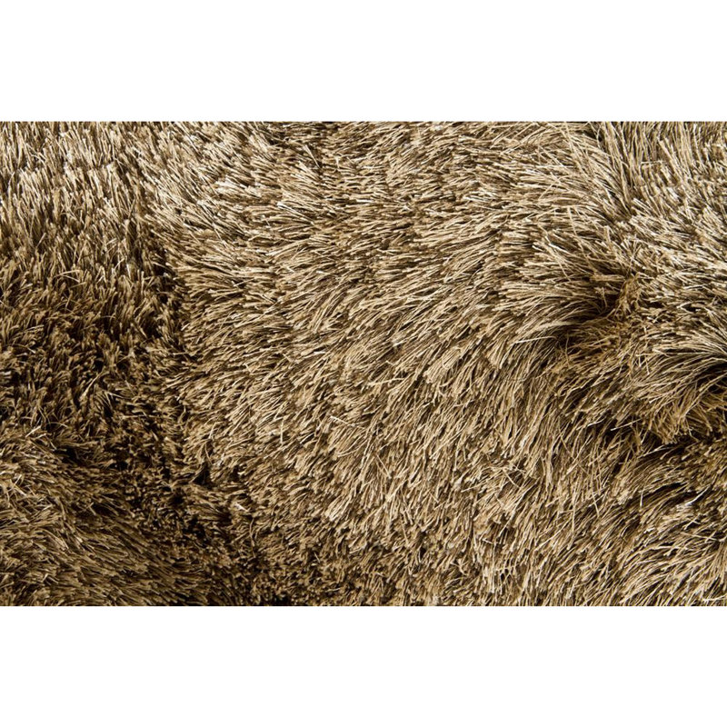 Celecot White Area Rug, Rectangle 5' x 7'6", Moss