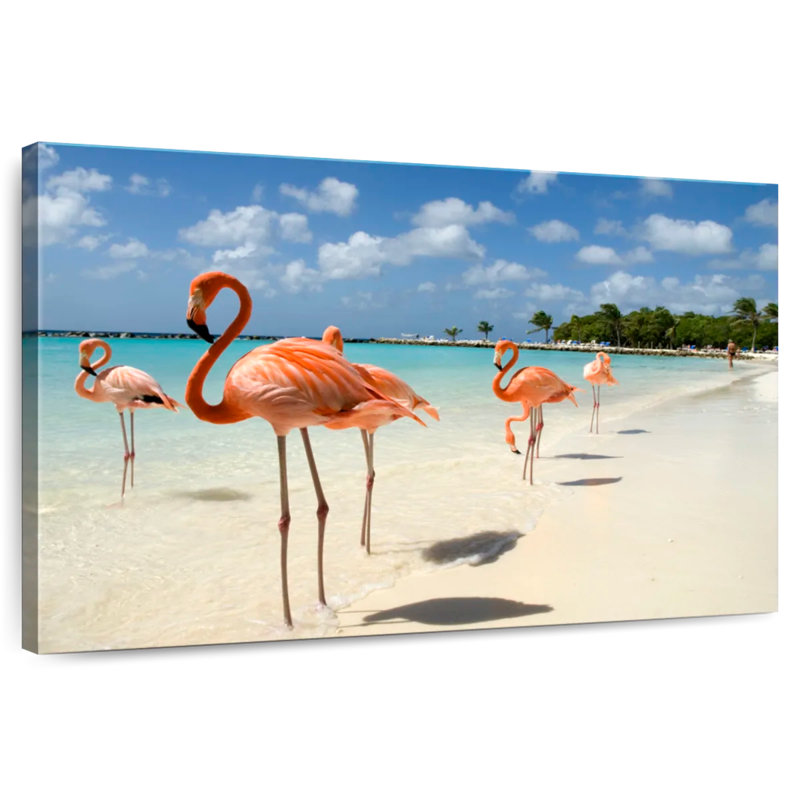 Flamants roses de la plage d'Aruba, H 8 po x l 12 po