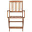 Bothel Patio Dining Armchair with Cushion