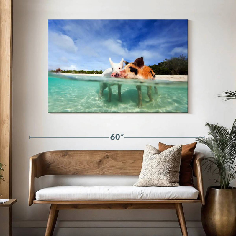 Brampt Pigs Bahamas Life, H 32 po x l 48 po
