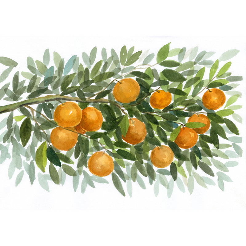 The Tangerine Pattern - Painting Print, 20 cm H x 30 cm W, Black Floater Framed