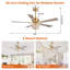 Ventilateur de plafond en cristal à 5 pales de 52 po Emille avec télécommande et ensemble d'éclairage inclus